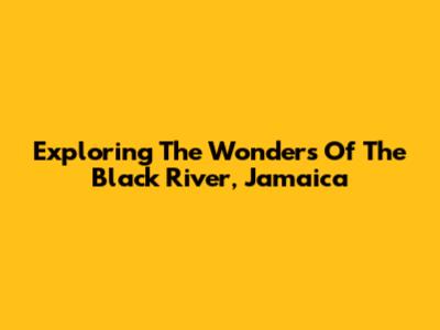 Exploring The Wonders Of The Black River, Jamaica