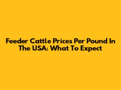 Feeder Cattle Prices Per Pound In The USA: What To Expect