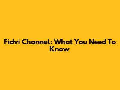 Fidvi Channel: What You Need To Know