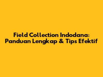 Field Collection Indodana: Panduan Lengkap & Tips Efektif