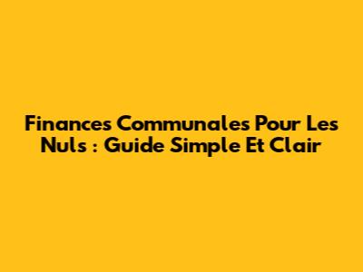 Finances Communales Pour Les Nuls : Guide Simple Et Clair