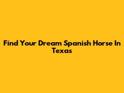 Find Your Dream Spanish Horse In Texas