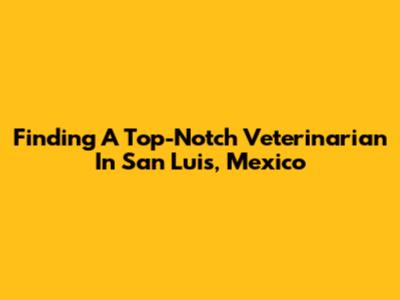 Finding A Top-Notch Veterinarian In San Luis, Mexico