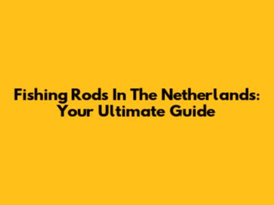 Fishing Rods In The Netherlands: Your Ultimate Guide