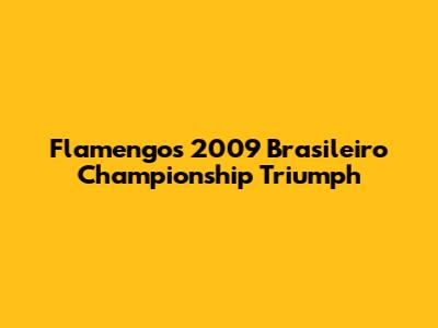 Flamengo's 2009 Brasileiro Championship Triumph