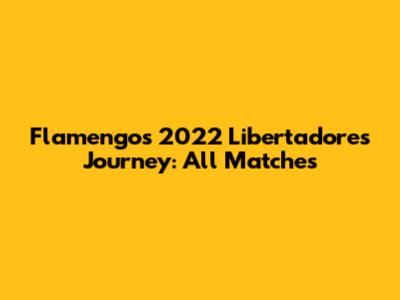 Flamengo's 2022 Libertadores Journey: All Matches