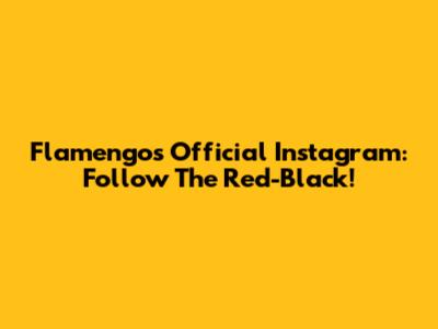 Flamengo's Official Instagram: Follow The Red-Black!
