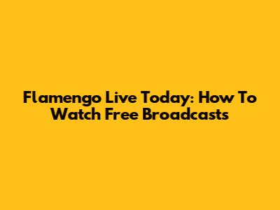 Flamengo Live Today: How To Watch Free Broadcasts