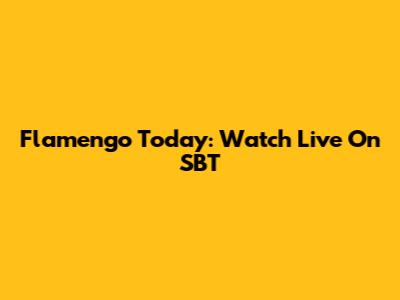 Flamengo Today: Watch Live On SBT