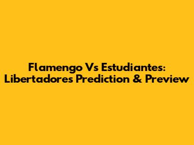 Flamengo Vs Estudiantes: Libertadores Prediction & Preview