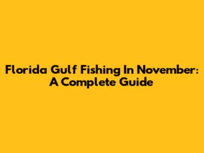 Florida Gulf Fishing In November: A Complete Guide