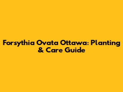 Forsythia Ovata Ottawa: Planting & Care Guide