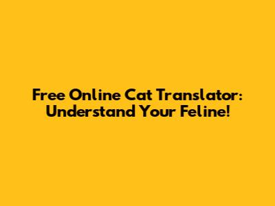 Free Online Cat Translator: Understand Your Feline!