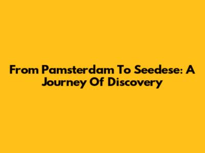 From Pamsterdam To Seedese: A Journey Of Discovery