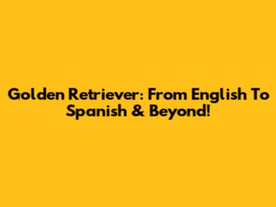 Golden Retriever: From English To Spanish & Beyond!