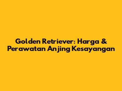 Golden Retriever: Harga & Perawatan Anjing Kesayangan