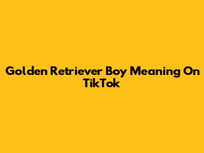 Golden Retriever Boy Meaning On TikTok