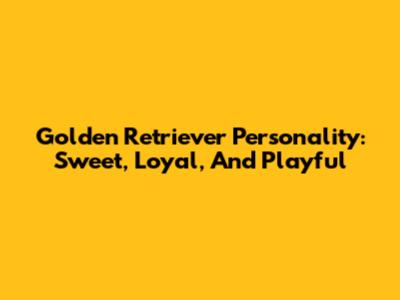Golden Retriever Personality: Sweet, Loyal, And Playful