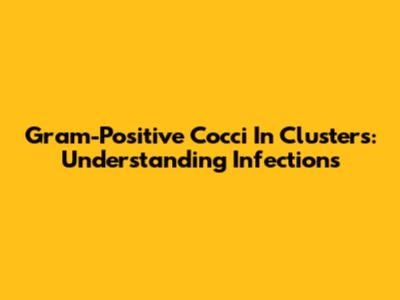 Gram-Positive Cocci In Clusters: Understanding Infections