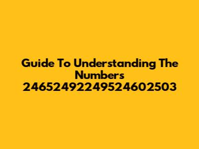 Guide To Understanding The Numbers 24652492249524602503