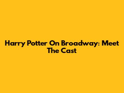 Harry Potter On Broadway: Meet The Cast