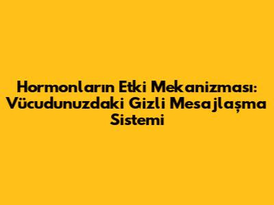 Hormonların Etki Mekanizması: Vücudunuzdaki Gizli Mesajlaşma Sistemi