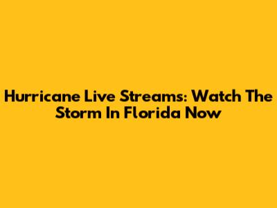 Hurricane Live Streams: Watch The Storm In Florida Now