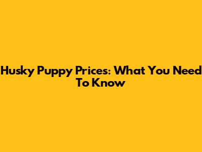 Husky Puppy Prices: What You Need To Know