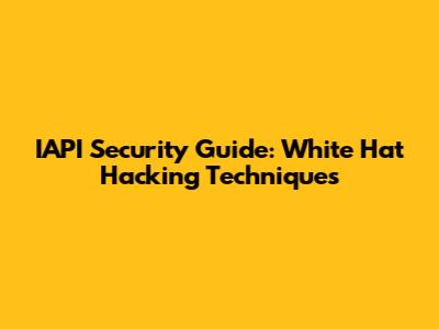 IAPI Security Guide: White Hat Hacking Techniques