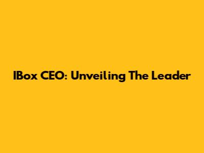 IBox CEO: Unveiling The Leader