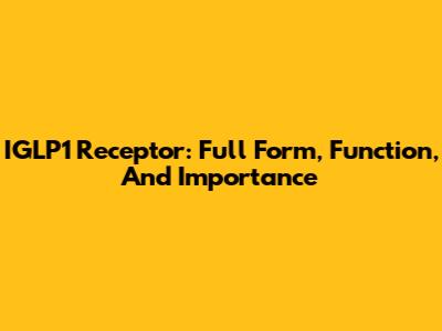 IGLP1 Receptor: Full Form, Function, And Importance