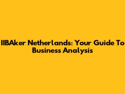 IIBAker Netherlands: Your Guide To Business Analysis