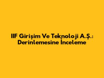 IIF Girişim Ve Teknoloji A.Ş.: Derinlemesine İnceleme