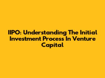 IIPO: Understanding The Initial Investment Process In Venture Capital