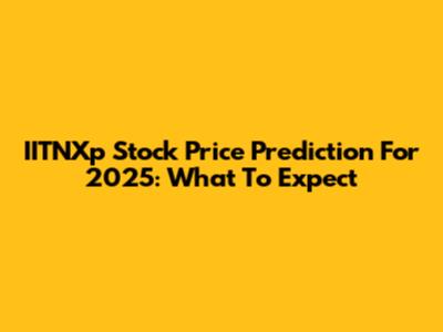 IITNXp Stock Price Prediction For 2025: What To Expect