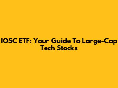IOSC ETF: Your Guide To Large-Cap Tech Stocks