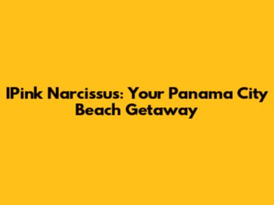 IPink Narcissus: Your Panama City Beach Getaway