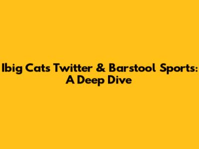 Ibig Cat's Twitter & Barstool Sports: A Deep Dive