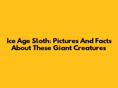 Ice Age Sloth: Pictures And Facts About These Giant Creatures