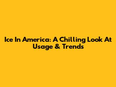 Ice In America: A Chilling Look At Usage & Trends