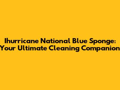 Ihurricane National Blue Sponge: Your Ultimate Cleaning Companion