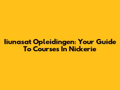 Iiunasat Opleidingen: Your Guide To Courses In Nickerie