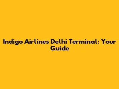 Indigo Airlines Delhi Terminal: Your Guide