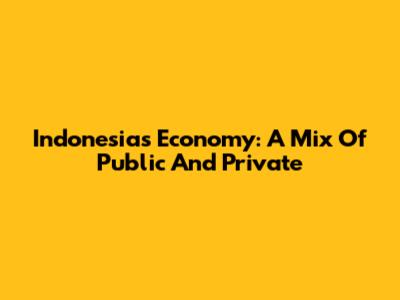 Indonesia's Economy: A Mix Of Public And Private