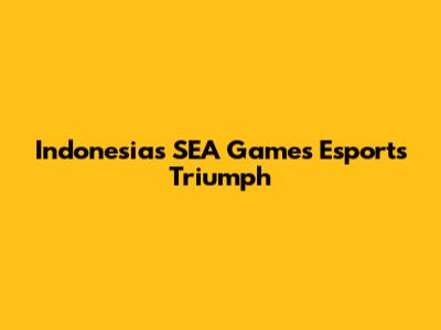Indonesia's SEA Games Esports Triumph