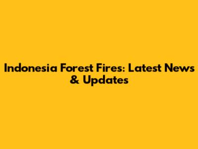 Indonesia Forest Fires: Latest News & Updates