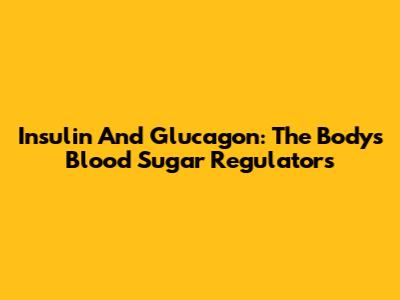Insulin And Glucagon: The Body's Blood Sugar Regulators