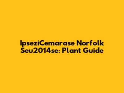 IpseziCemarase Norfolk Seu2014se: Plant Guide