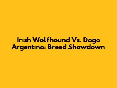 Irish Wolfhound Vs. Dogo Argentino: Breed Showdown