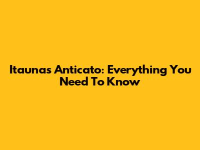 Itaunas Anticato: Everything You Need To Know